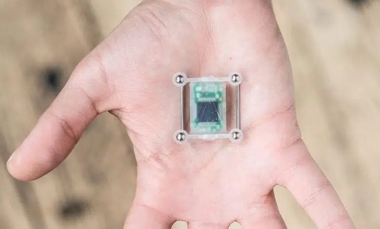 Cyber Nest Implantat 04 837x500