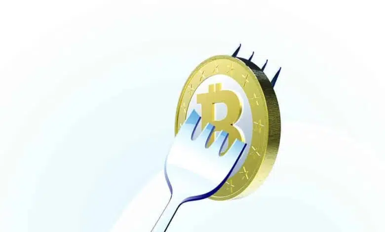 fork bitcoin btc