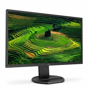 Philips 221B8