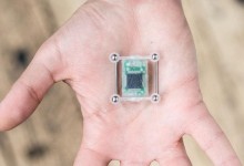 Cyber Nest Implantat 04 837x500