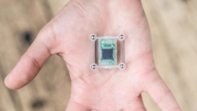 Cyber Nest Implantat 04 837x500