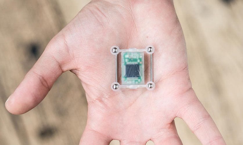 Cyber Nest Implantat 04 837x500
