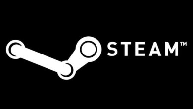 Steam