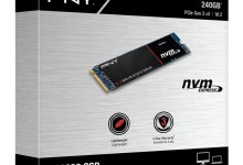 PNY CS2030