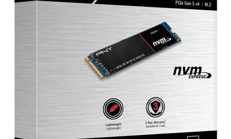 PNY CS2030