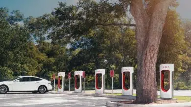 tesla motor