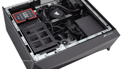 Bulldog 2  18