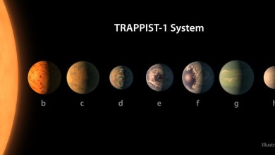 planetas TRAPPIST 1 system
