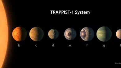 planetas TRAPPIST 1 system