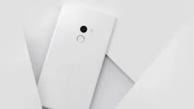 xiaomi pinecone
