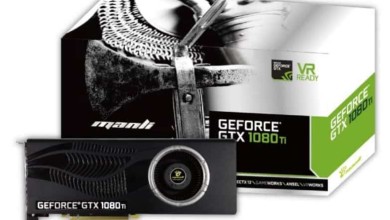 manli gtx 1080 ti