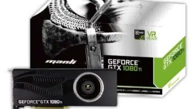 manli gtx 1080 ti