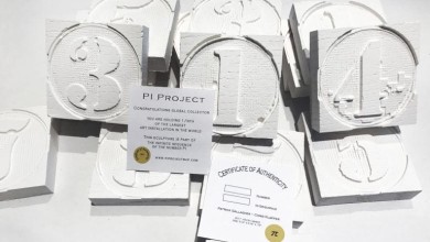 the pi project
