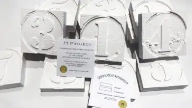 the pi project