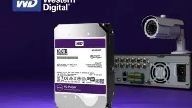 wd purple 10tb