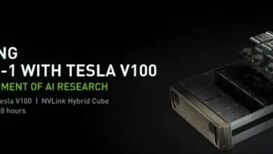 NVIDIA DGX Server