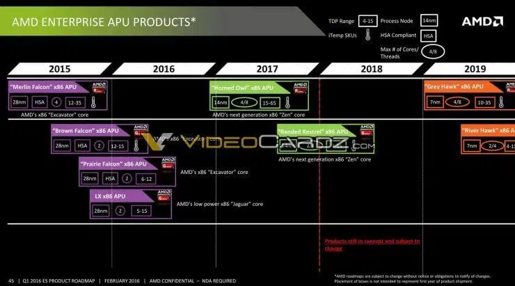 AMD