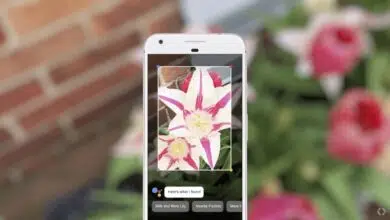 google lens 2