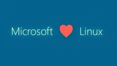 microsoft heart linux