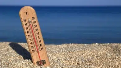calor hardware