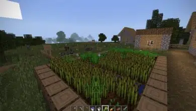 minecraft 1080p