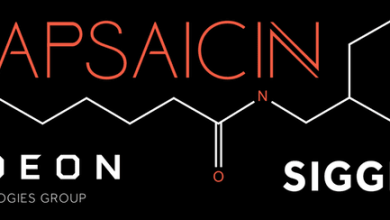 AMD SIGGRAPH Capsaicin