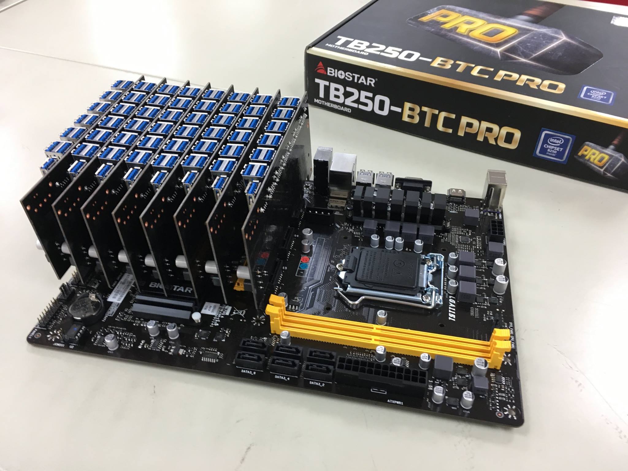 Biostar placa base minado altcoin