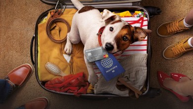 mastercard dog