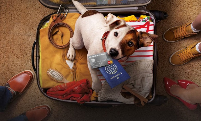 mastercard dog