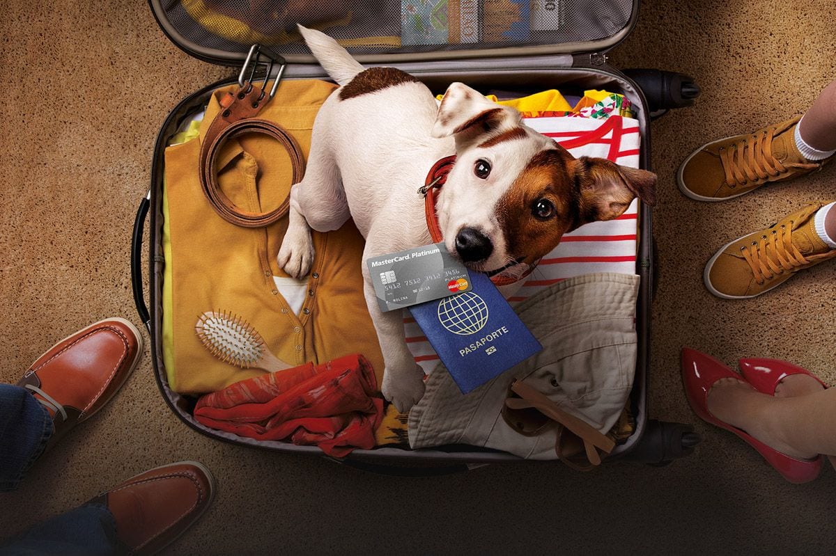 mastercard dog