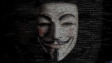 anonymous hacker cracker