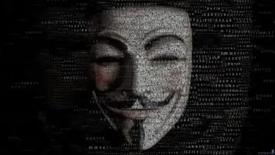 anonymous hacker cracker