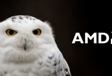 amd snowy owl soc