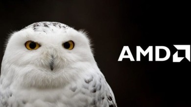 amd snowy owl soc