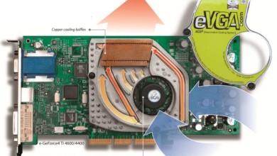EVGA GeForce4 4600 Ti ACS2