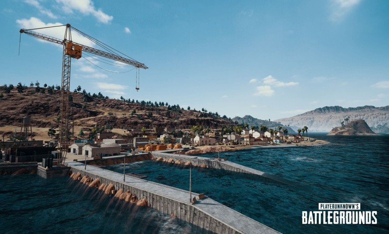PlayerUnknown’s Battlegrounds steam 1