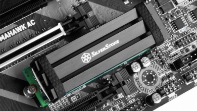 SilverStone TP02 M2