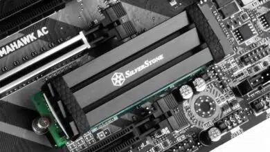 SilverStone TP02 M2