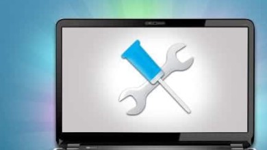 hwinfo intel am