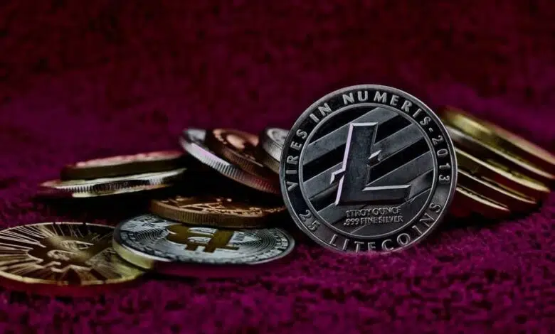 litecoin 300 dolares