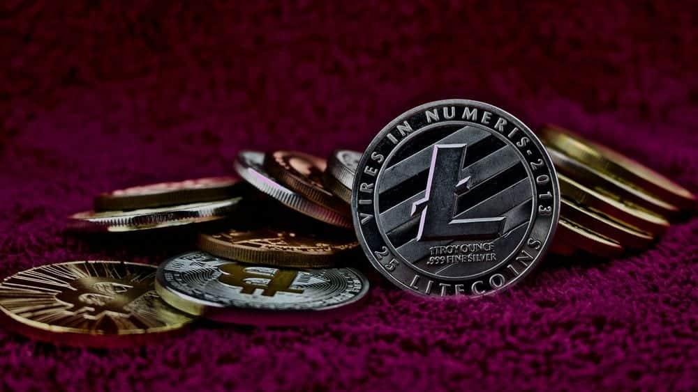 litecoin 300 dolares