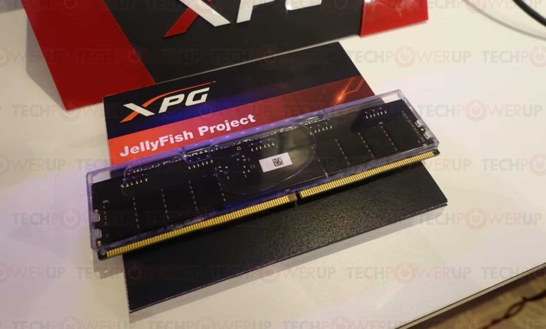 Adata Project Jellyfish