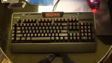 EVGA Z10 1