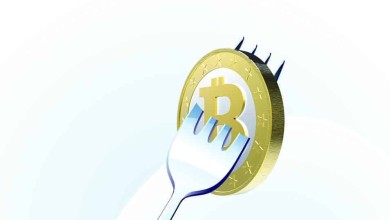 fork bitcoin btc