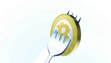 fork bitcoin btc