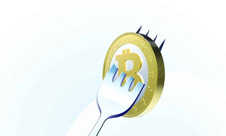 fork bitcoin btc