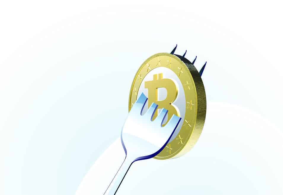 fork bitcoin btc