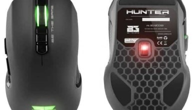 bg hunter gaming