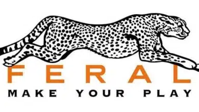 feral interactive linux gamemode