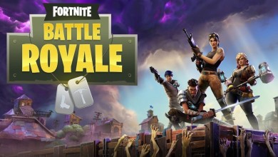 fortnite battle royale